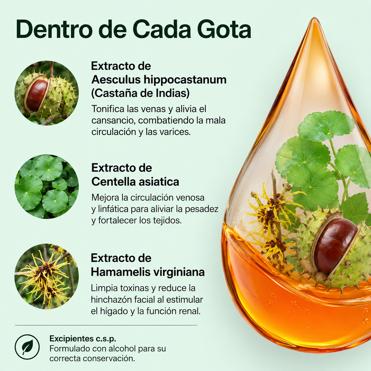 Vitaly™ | Drena Naturalmente la Hinchazón del Rostro, Abdomen y Piernas H
